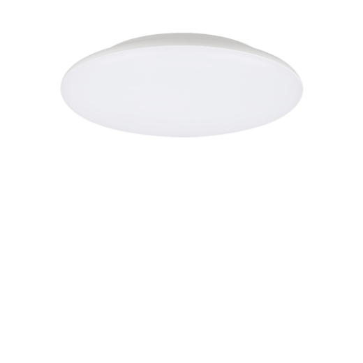 JANUS.2 15W CCT IP54 WHITE 25CM LED CEILING LIGHT