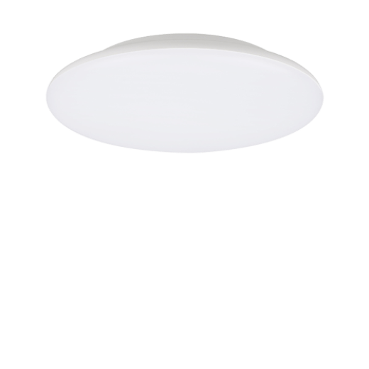 JANUS.2 24W CCT IP54 WHITE 30CM LED CEILING LIGHT